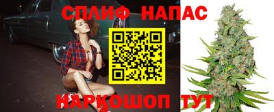 гашик Усть-Джегута