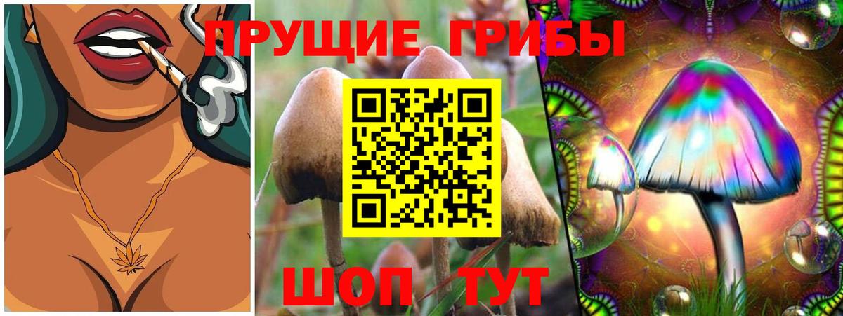 Галлюциногенные грибы прущие грибы Амурск