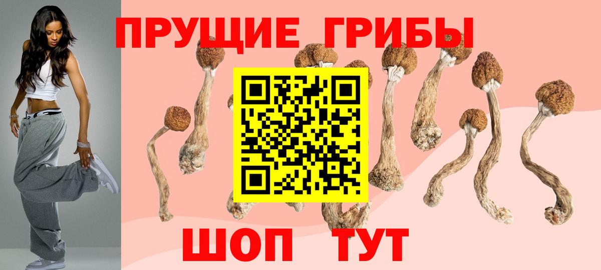 Псилоцибиновые грибы Cubensis  Псилоцибиновые грибы мицелий  Вход с VPN  Амурск 