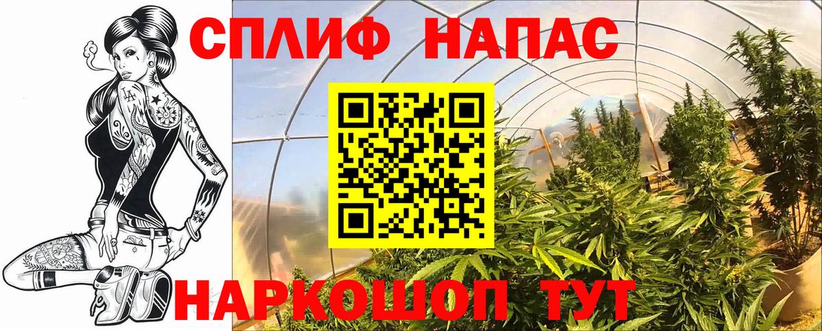 Каннабис сатива Амурск